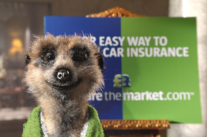 Comparethemarket... campaign of the year