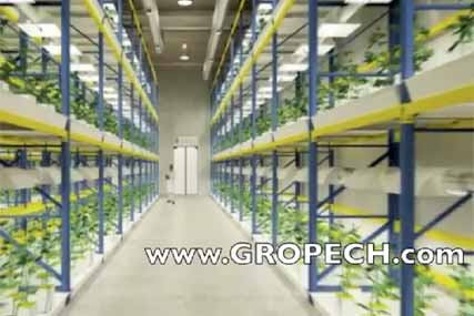 Gropech: produced video to back factory bid