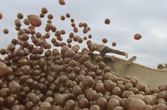 Nestle Aero