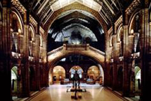 Triple venue party to celebrate £28m Exhibition Road transformation