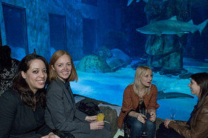 London Aquarium