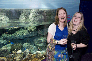 Londond Aquarium relaunch night
