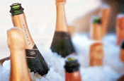 Chandon...will compete with cheaper Champagne brands