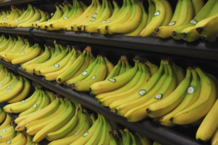 Grocery isle: code of conduct aims to protect suppliers