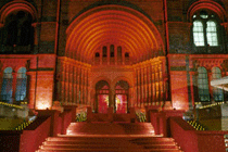 Natural History Museum's catering tender opens