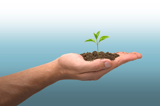 FMCG brands are winning locally to grow globally