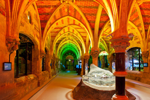 New venue of the week: Sea Life Centre