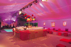 The private parties club