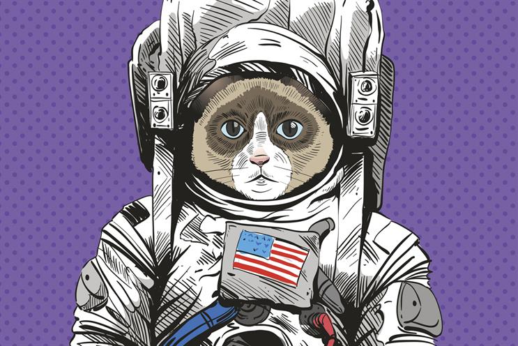 ±±¾©Èü³µpk10 Diary: Anomaly honours cat in space and Lego gets political