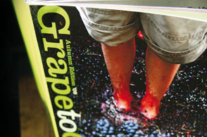 Grape to glass: lifestyle articles as well as wine lists