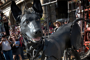 9ft dog joins Sea Odyssey lineup