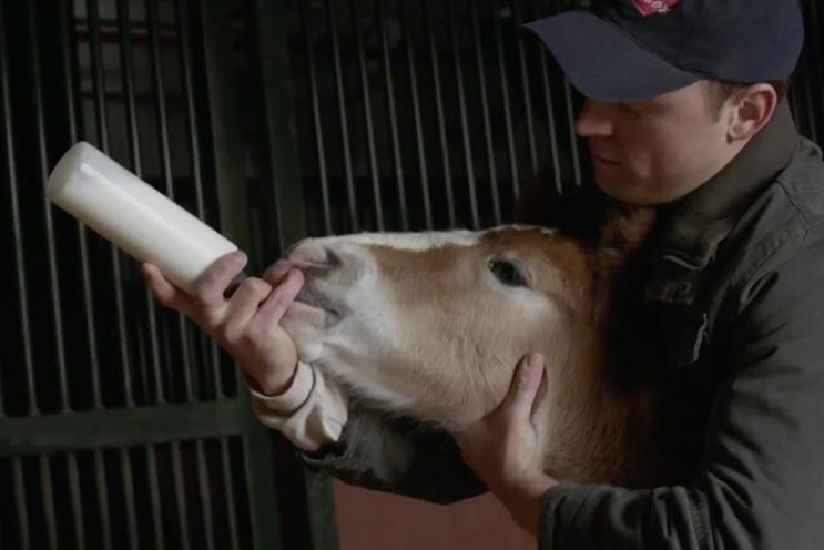 Budweiser: brotherhood by Anomaly USA