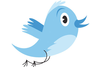 Twitter... government guide