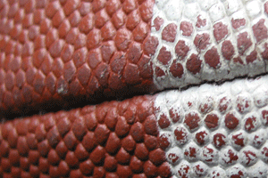 NFL turns to Ignite for San Francisco 49ers Wembley party