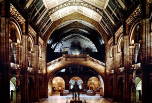 Natural History Museum is looking to update its catering list