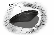 Risk management: Brand cover
