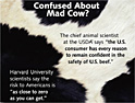 Fast food industry fights back against mad cow fears