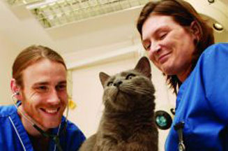 PDSA vets