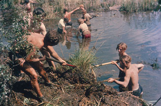 BTCV environmental charity