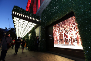 The Lumia window