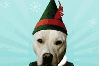 Elf yourself (or your dog) is back