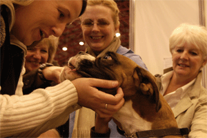 Dog: breeding problems