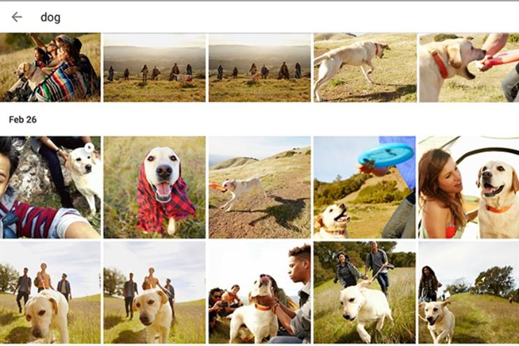 Google photos app among those to have fallen foul of algorithms