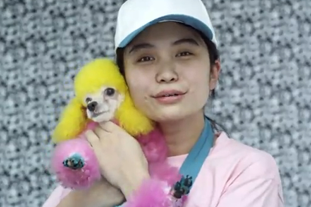 Nokia: poodle loop viral