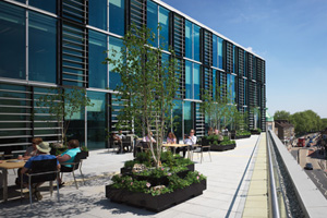 Exclusive: Kenya to set up Olympic House in Stratford