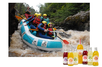 The Feel Good Drinks Company