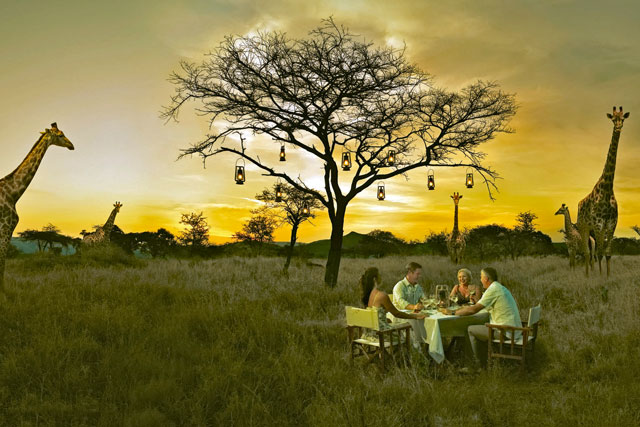 South African Tourism hands account to Universal McCann London