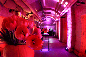 Somerset House has opened two new event spaces