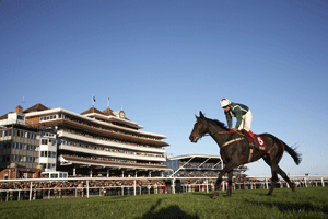 Win VIP tickets to the Hennessy Gold Cup