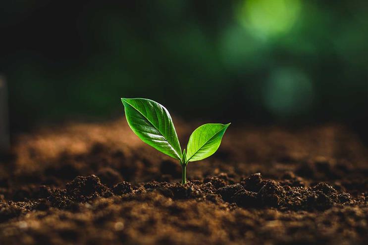 Green shoots: how will companies respond?