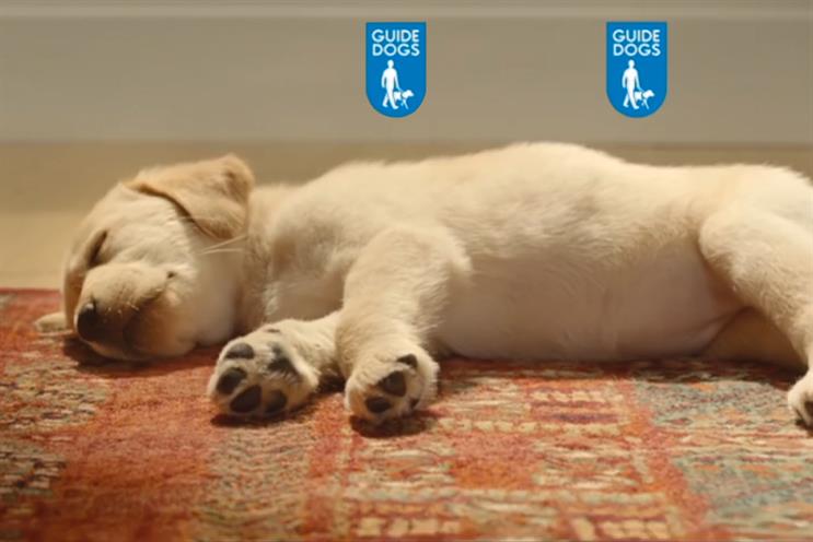 Guide Dogs: new agencies