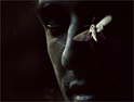 Guinness takes to the jungle in dramatic £6.5m campaign