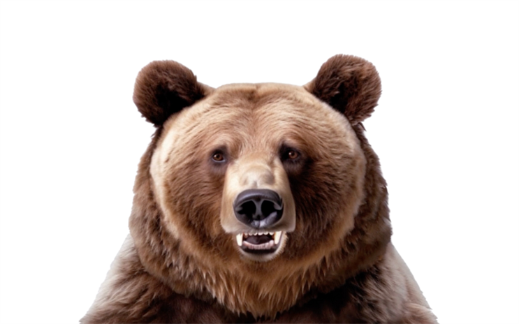 Dear Joy…IAB’s grizzly agony aunt answers your digital dilemmas