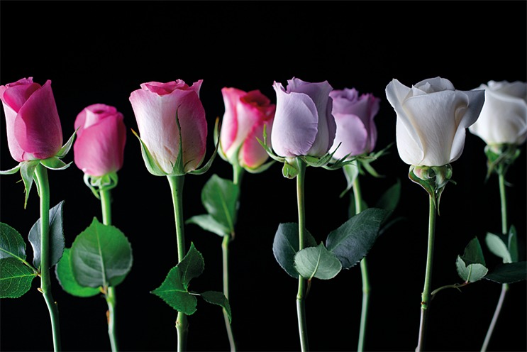 Marks & Spencer parts company with AKQA