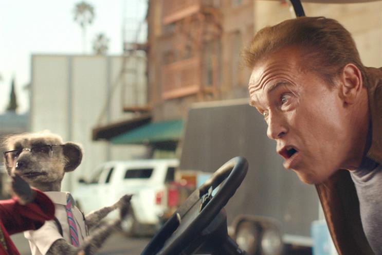 Arnold Schwarzenegger: teams up with the meerkats