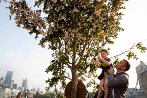 The money tree contained genuine £10 notes