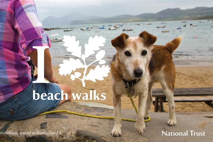 National Trust: pitch