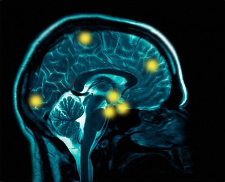 The science behind brand growth