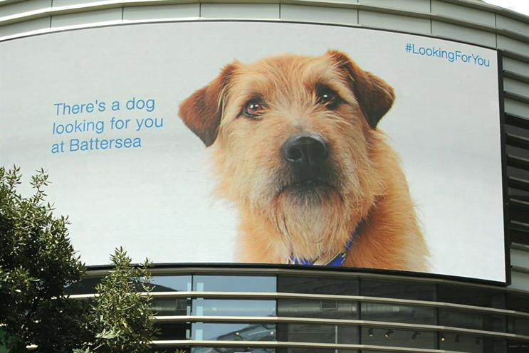 Battersea Dogs and Cats Home