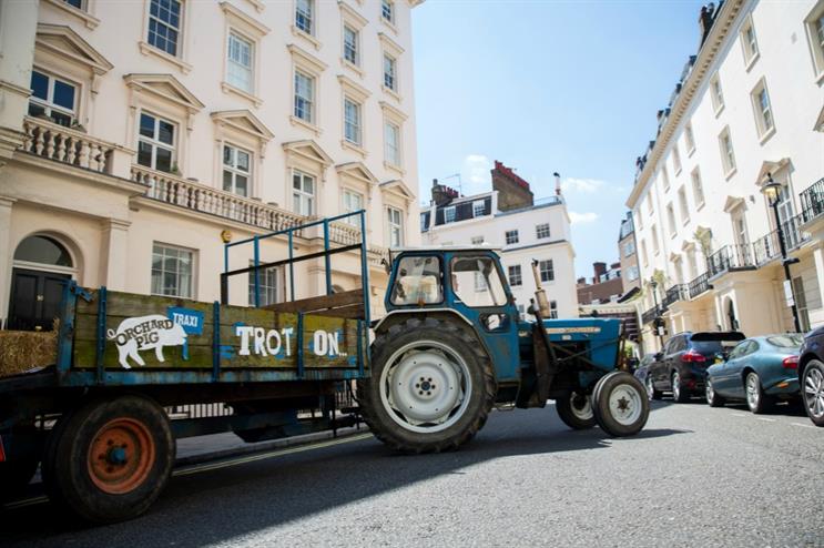 Orchard Pig to offer Londoners alternative taxi service
