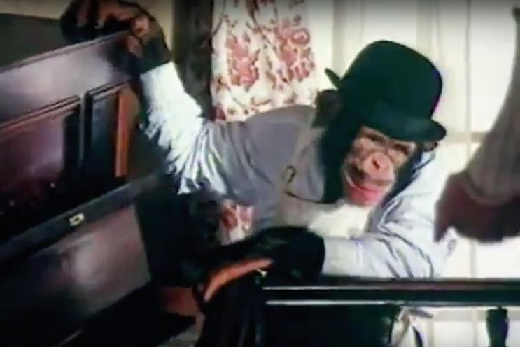 Best ads in 50 years: Monkeying around with PG Tips