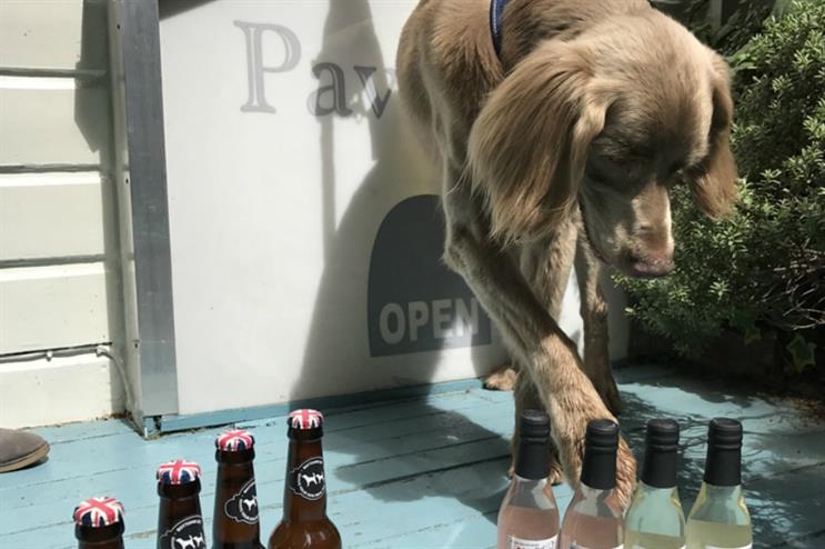 Pets at best sale home pawsecco