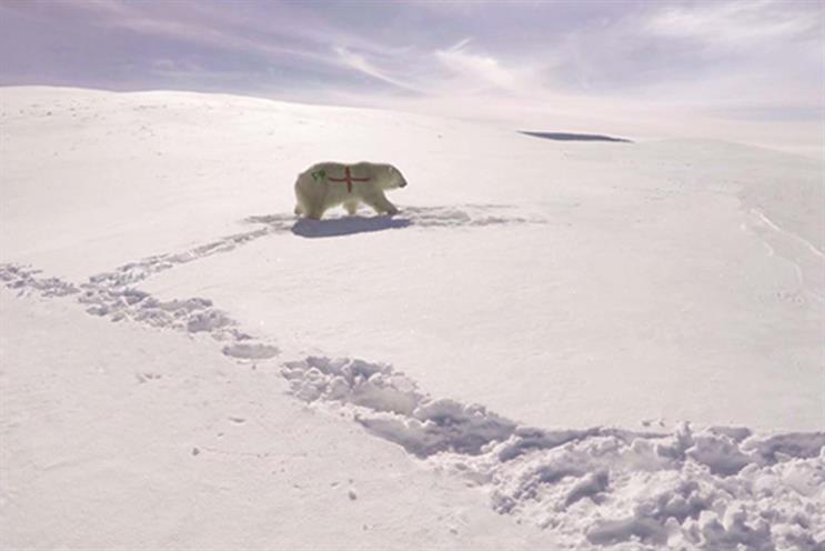 Paddy Power says sorry for controversial polar bear campaign after social media backlash