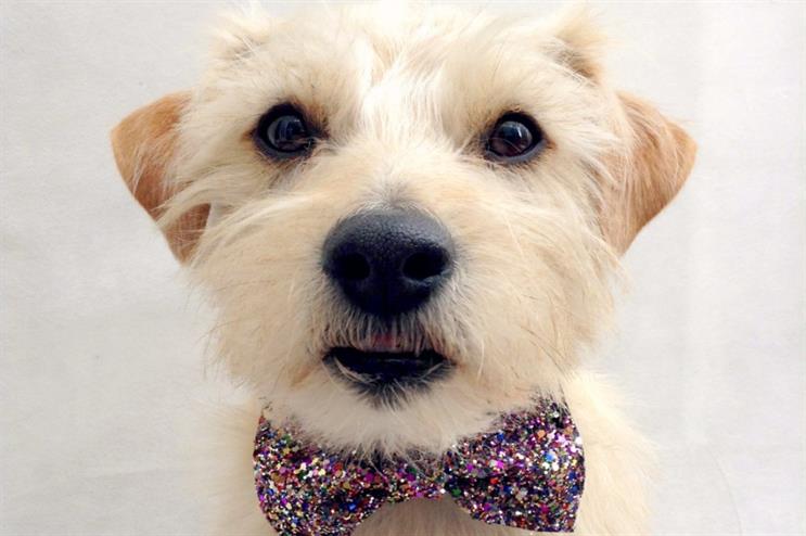 Doggie designs by Pup Up Handmade will be available at the 'pup-up' shop (image: blog.etsy.com)