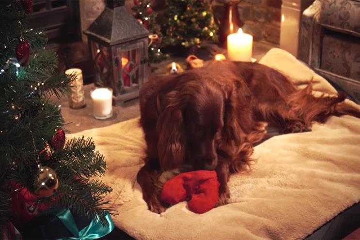 RSPCA: John Ayling & Associates works on planning and buying
