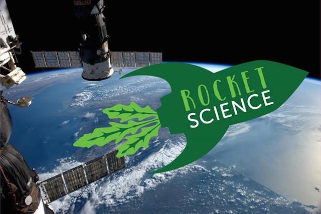 Royal Horticultural Society children's project sends seeds into space with Tim Peake
